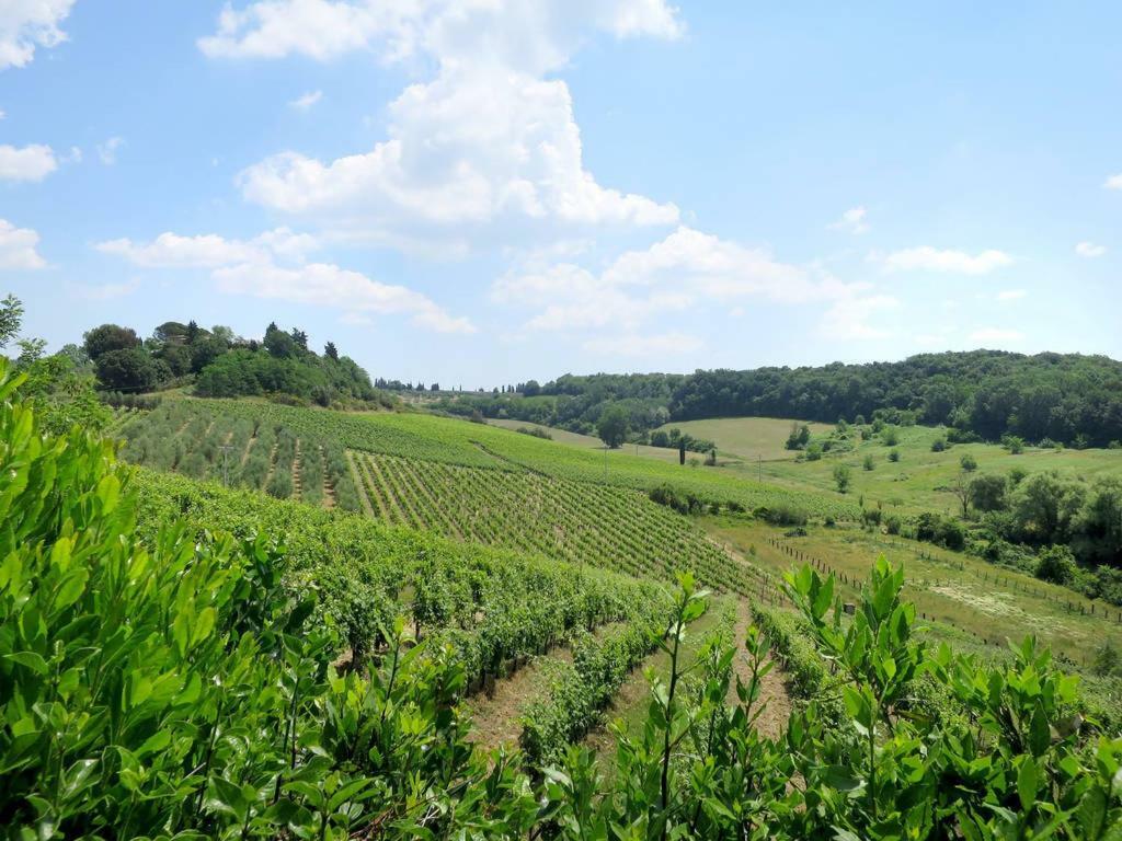 Agriturismo La Moraia بودجيبونسي المظهر الخارجي الصورة